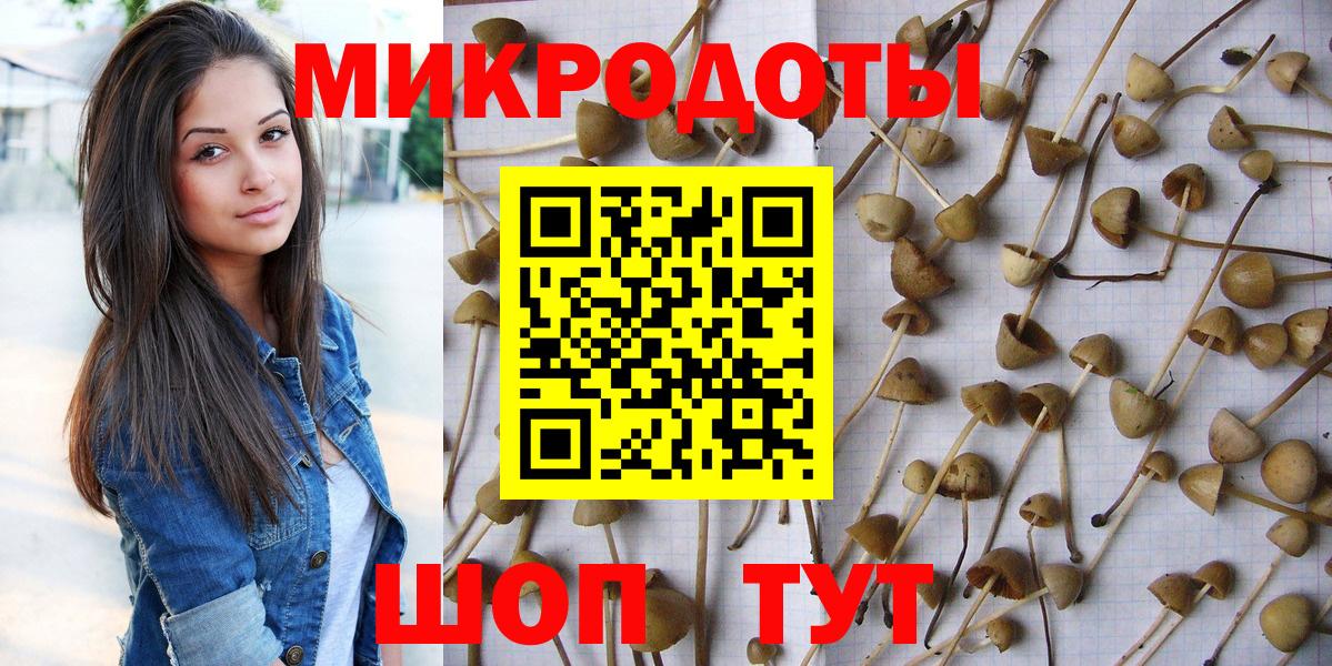 Галлюциногенные грибы MAGIC MUSHROOMS  Галлюциногенные грибы Magic Shrooms  Вход с VPN  Волхов 